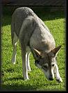 36 Hoest-Herbst-Autumn 07 * 1024 x 1410 * (1.14MB)